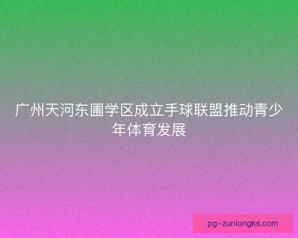 广州天河东圃学区成立手球联盟推动青少年体育发展