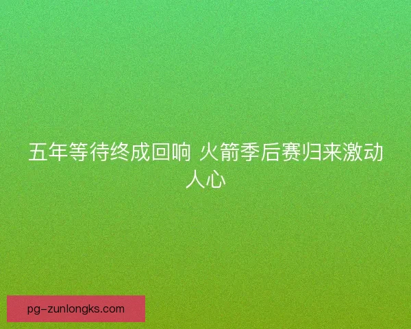 五年等待终成回响 火箭季后赛归来激动人心