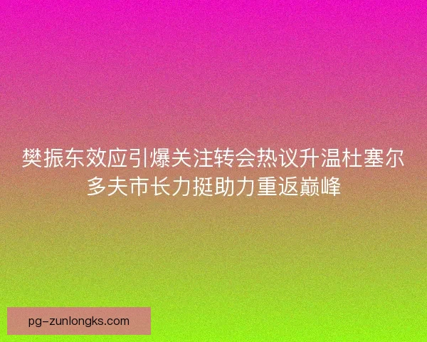 樊振东效应引爆关注转会热议升温杜塞尔多夫市长力挺助力重返巅峰
