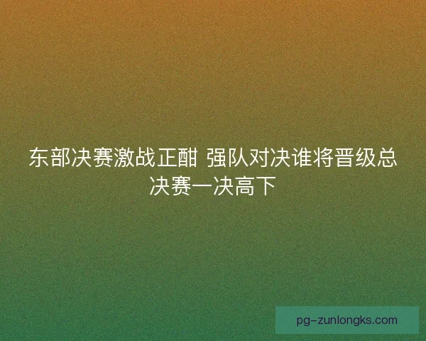 东部决赛激战正酣 强队对决谁将晋级总决赛一决高下